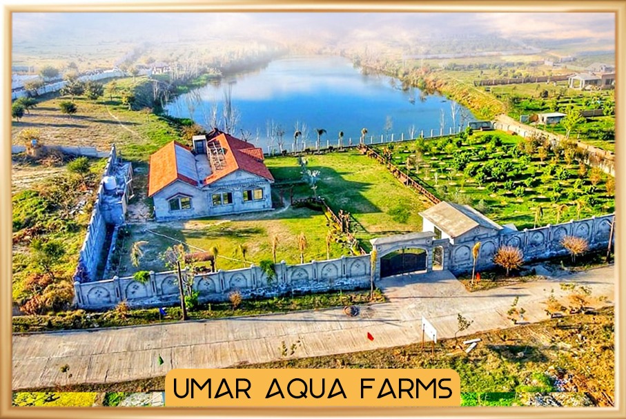 Farm House Investment